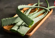 Aloe Vera Side Effects