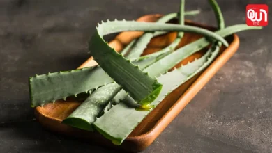 Aloe Vera Side Effects