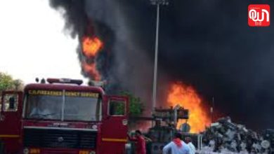 Chhattisgarh Fire News