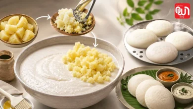 Idli Batter Hacks: खट्टा हो गया है इडली बैटर? फेंकने की बजाय इन कामों में करें इस्तेमाल, होगा बड़ा फायदा 27 Idli Batter Hacks