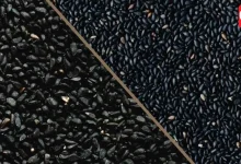 Kalonji vs Black sesame seeds