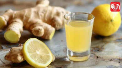 Lemon Shot