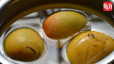 Mango Lovers