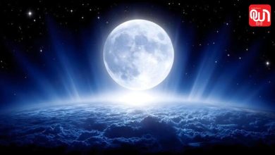 Moon Day 2026