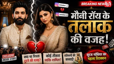 Mouni Roy Divorce News