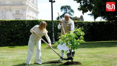 PM Modi: मीठे शहतूत चाहिए? PM मोदी और मेलोनी द्वारा लगाए गए Black Mulberry को घर में ऐसे लगाएं 23 PM Modi