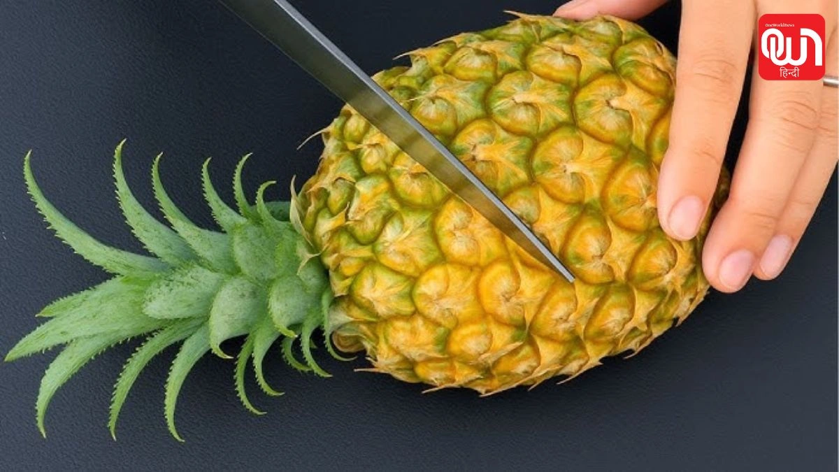 Pineapple Peel Hacks: अब नहीं जाएंगे अनानास के छिलके बेकार, जानें इनके 5 शानदार उपयोग 1 Pineapple Peel Hacks