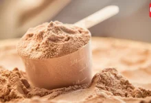 Protein powder is safe for body