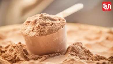 Protein powder is safe for body