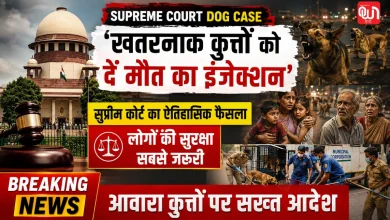 Supreme Court Dog Case