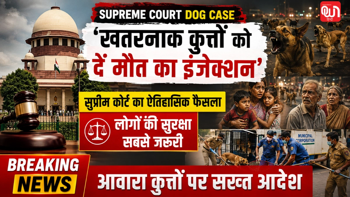 Supreme Court Dog Case: ‘खतरनाक कुत्तों को दें मौत का इंजेक्शन’, सुप्रीम कोर्ट का ऐतिहासिक फैसला 1 Supreme Court Dog Case