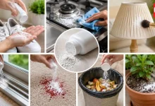 Talcum Powder Reuse