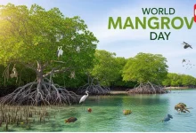 World Mangrove Day 2026