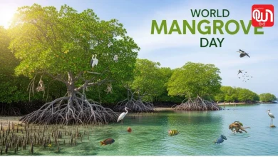 World Mangrove Day 2026