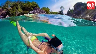 World Snorkeling Day 2026