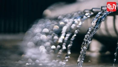 World Water Week 2026: विश्व जल सप्ताह, जल संरक्षण और सतत विकास के प्रति जागरूकता का वैश्विक अभियान 8 World Water Week 2026