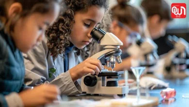 World Youth Skills Day 2026