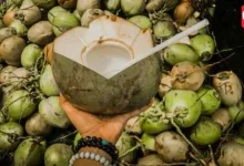 Coconut Shells
