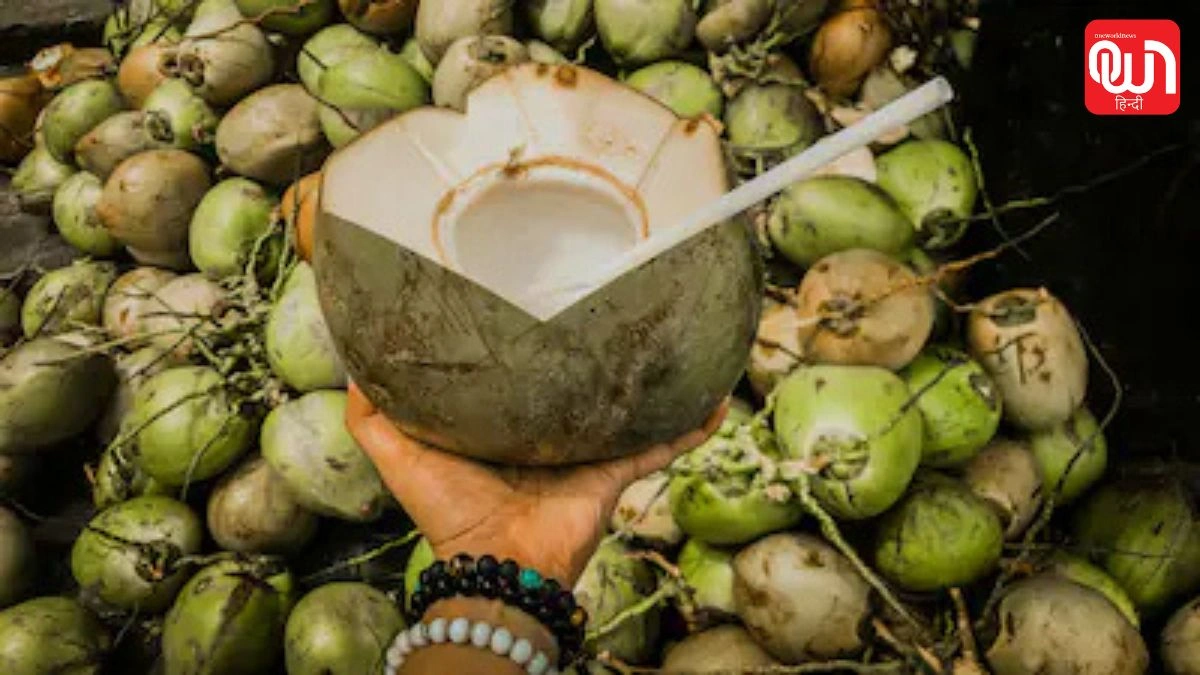 Coconut Shells: हर महिला को पता होने चाहिए नारियल के खाली खोल के ये 2 आसान और उपयोगी हैक्स 1 Coconut Shells