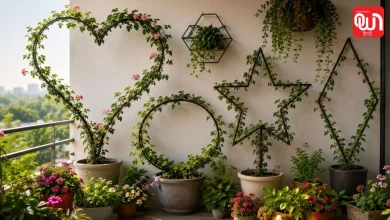 Flower Vine Shaping Tips: बेल वाले पौधों की खूबसूरती बढ़ाने के 7 शानदार आइडिया, मिनटों में बदल जाएगा गार्डन लुक 8 Flower Vine Shaping Tips