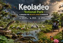 Keoladeo National Park