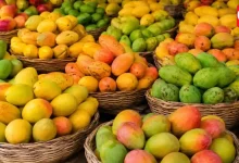 Mango Festival 2026