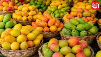 Mango Festival 2026