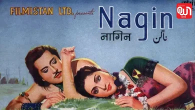 Nagin Dance