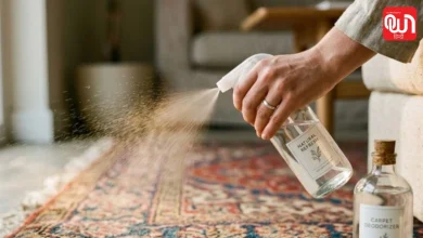 Odor Removing Hack