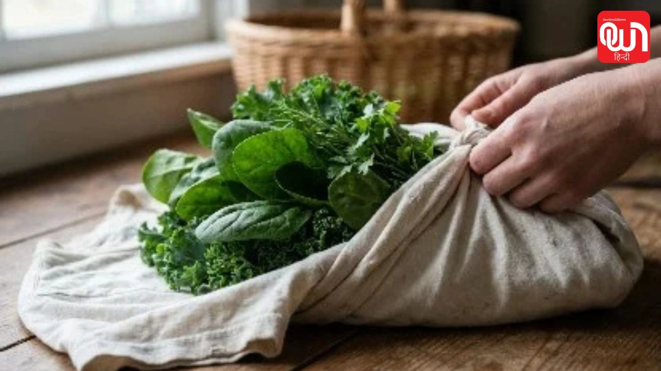 Kitchen Hack: अब नहीं सड़ेंगी पालक-धनिया! पुरानी टी-शर्ट का यह कमाल का हैक जरूर ट्राई करें 1 Kitchen Hack