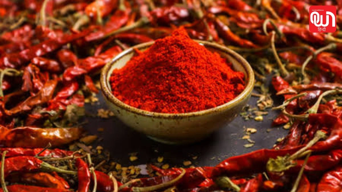 Red Chilli Benefits: डायबिटिक नर्व डैमेज में कितनी असरदार है लाल मिर्च? रिसर्च और एक्सपर्ट्स की राय 1 Red Chilli Benefits