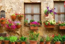 Terracotta Pot Hacks