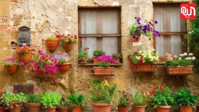 Terracotta Pot Hacks