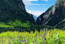 Valley Of Flowers Travel Guide