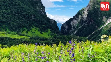 Valley Of Flowers Travel Guide