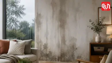 Wall Seepage Solution