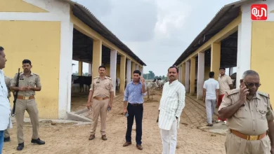 Auraiya Gaushala
