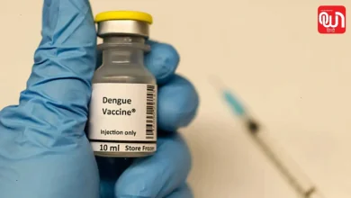 Dengue Vaccine: भारत की पहली डेंगू वैक्सीन लॉन्च, किसे लगेगी, कितनी होगी कीमत और कितनी डोज चाहिए? 8 Dengue Vaccine