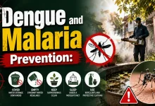 Dengue and Malaria Prevention