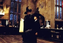 Harry Potter Millennials