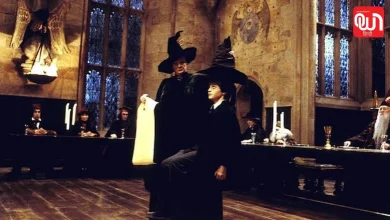 Harry Potter Millennials