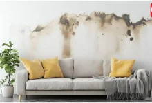 Home Remedies for Wall Dampness