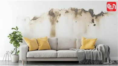 Home Remedies for Wall Dampness