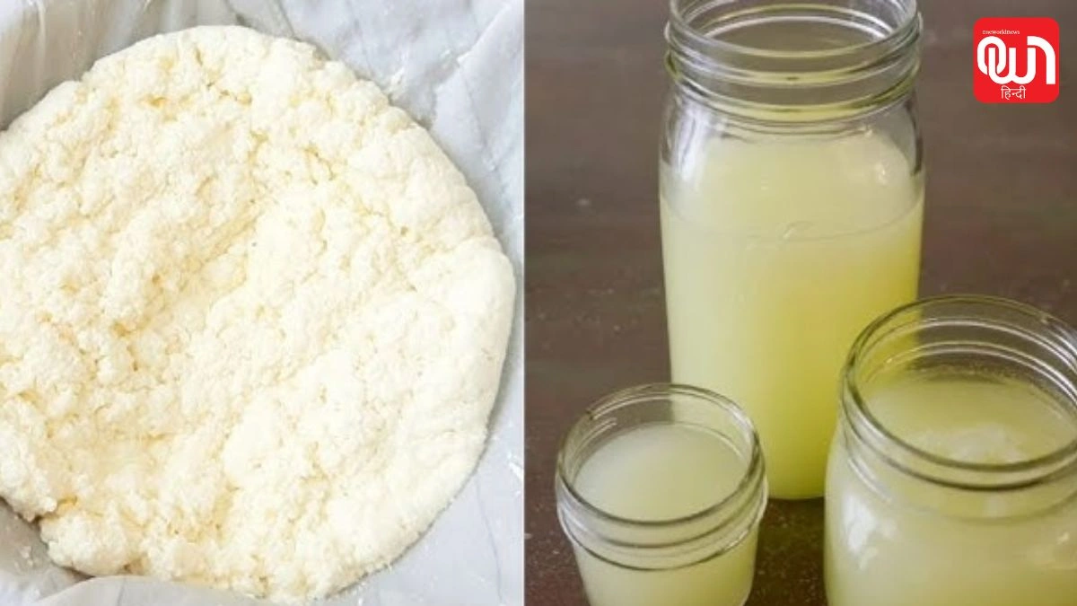 How To Use Paneer Water: घर पर पनीर बनाया? बचा हुआ पानी इन 5 तरीकों से करें यूज, नहीं होगा एक बूंद भी बेकार 1 How To Use Paneer Water