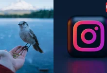 Instagram Photos