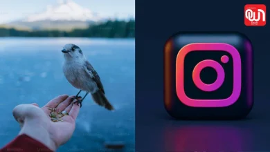 Instagram Photos