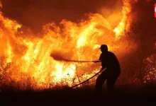 Europe Wildfires