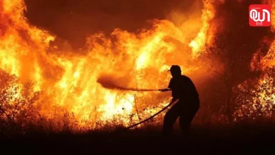 Europe Wildfires