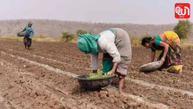 Kharif Crop Sowing 2026