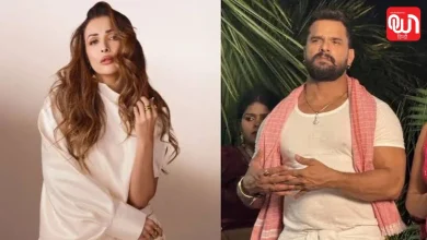Khesari Lal Yadav की इस हरकत पर भड़क उठीं Malaika Arora, सोशल मीडिया पर मचा बवाल 8 Malaika Arora